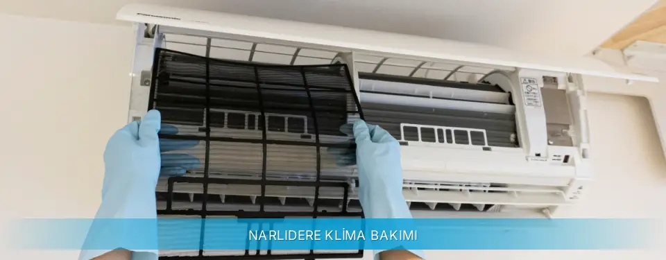 Narlıdere İlçemi Daikin Klima Bakımı